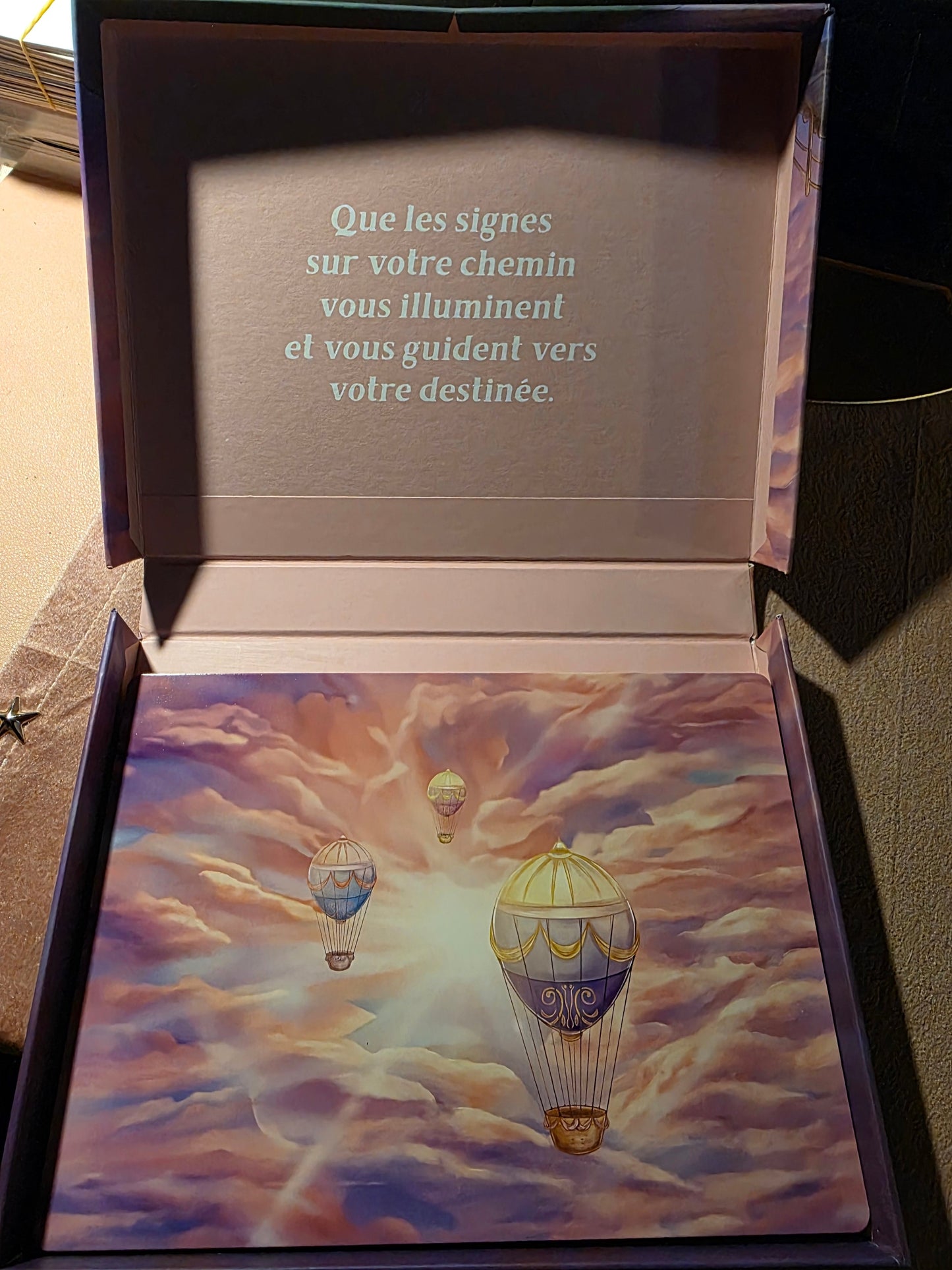 L'Odyssée des Signes — intérieur du coffret ouvert