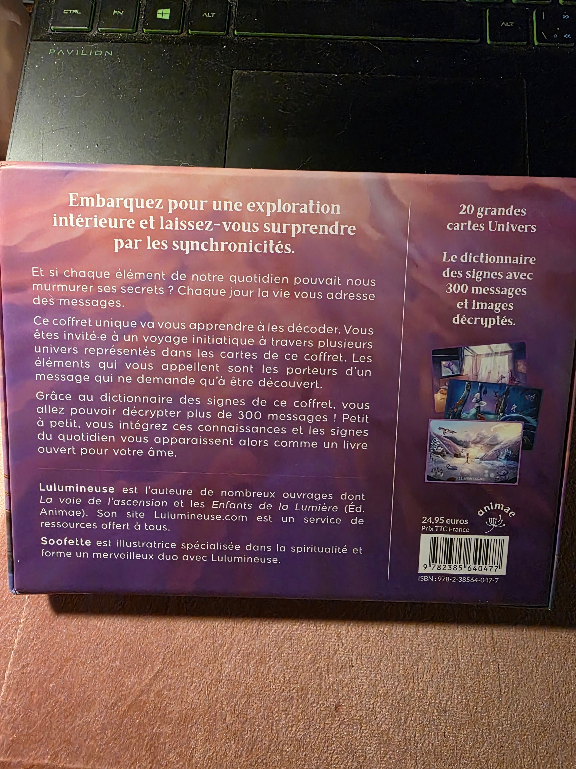 L'Odyssée des Signes — dos du coffret avec description