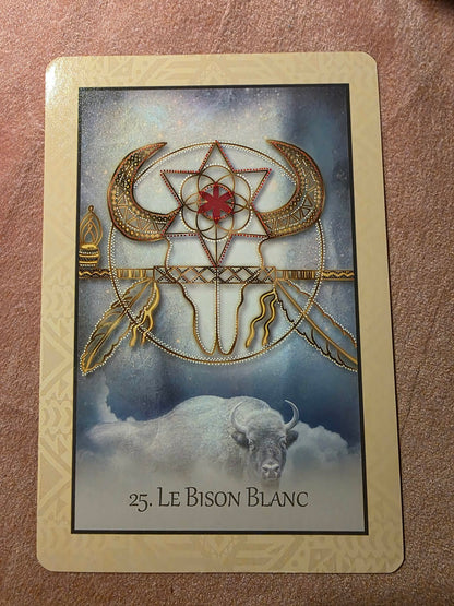 L'Oracle de Guérison du Cœur Amérindien