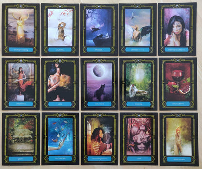 Wisdom of the House of Night — 15 cartes étalées: Understanding, Playful, Message, Choices, Individuality, Obedience, Oath, The Moon, Wishing, Fulfillment, Grove, Letting Go, Listening, Lust, Meditation