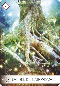 L'Oracle des 7 Énergies | Colette Baron-Reid