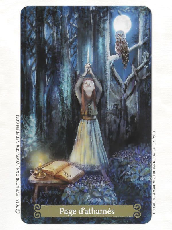 Le Tarot de la Magie Verte ✨