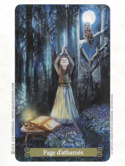 Le Tarot de la Magie Verte ✨