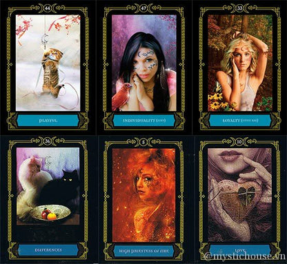 Wisdom of the House of Night — 6 cartes: Playful, Individuality, Loyalty, Differences, High Priestess of Fire, Love