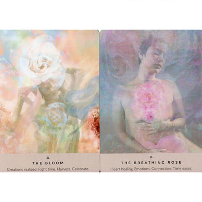 The Rose Oracle — cartes The Bloom et The Breathing Rose