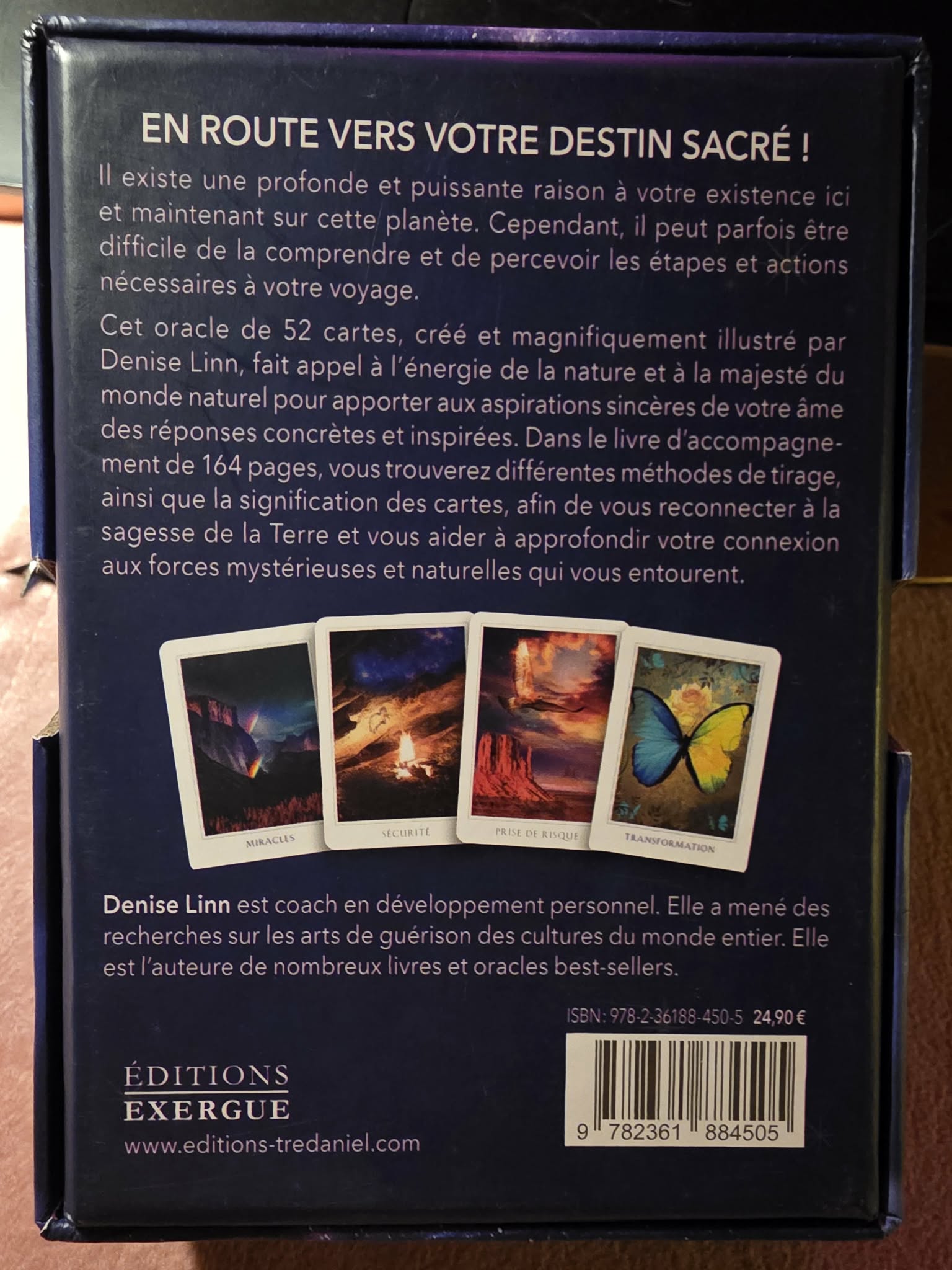 Destin Sacré — carte Passerelle avec licorne blanche
