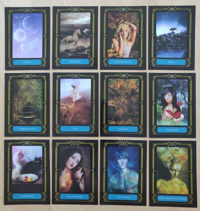 Wisdom of the House of Night — 12 cartes: Stars, Movement, Loyalty, Dead, Trapped, Fall, Strength, Self-Worth, Differences, The Fledgling, The Warrior, High Priestess of Earth