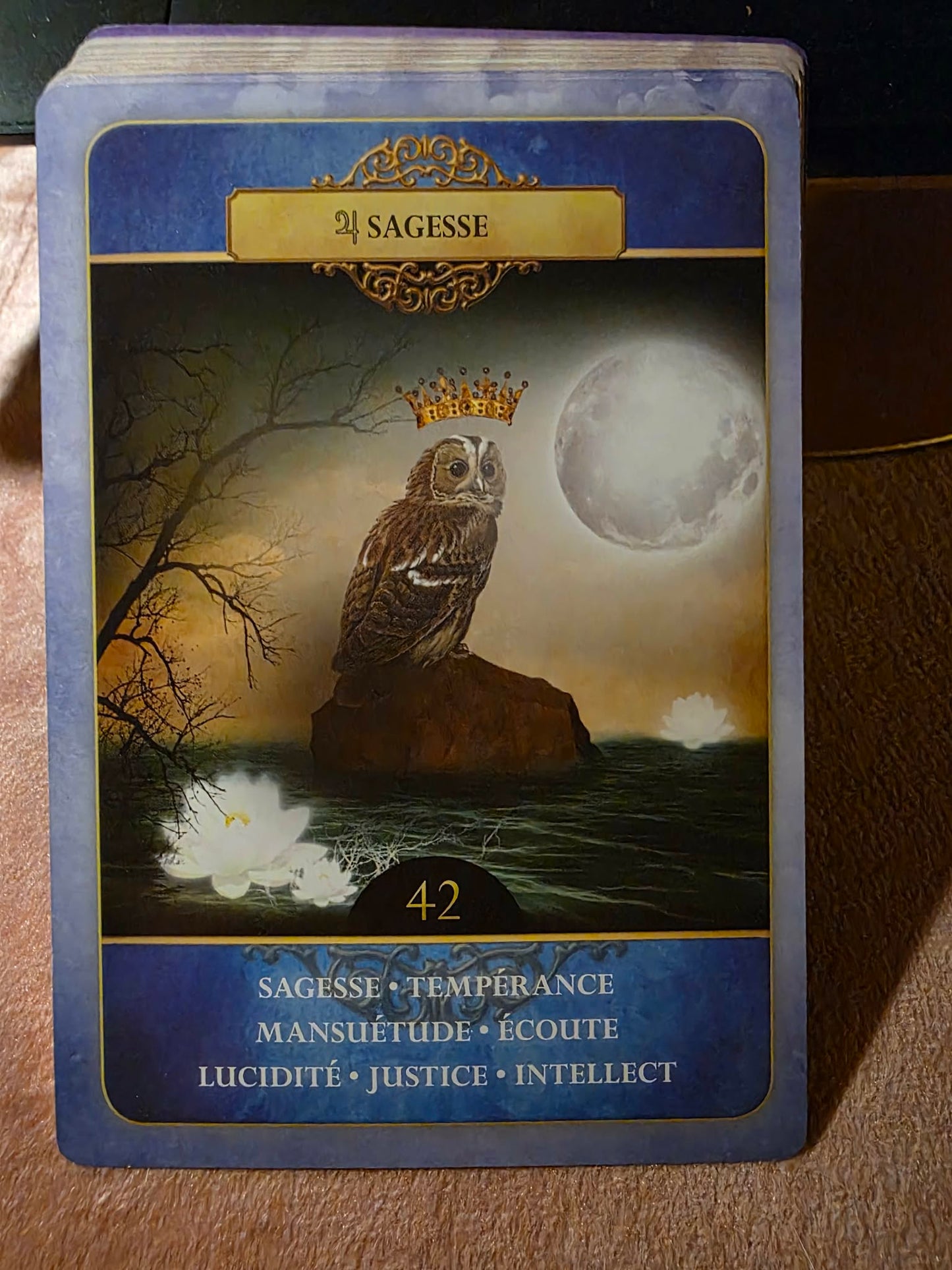 Le Belline REVISITÉ — 53 Cartes Oracle | Gabriel Sanchez | Coffret Rigide