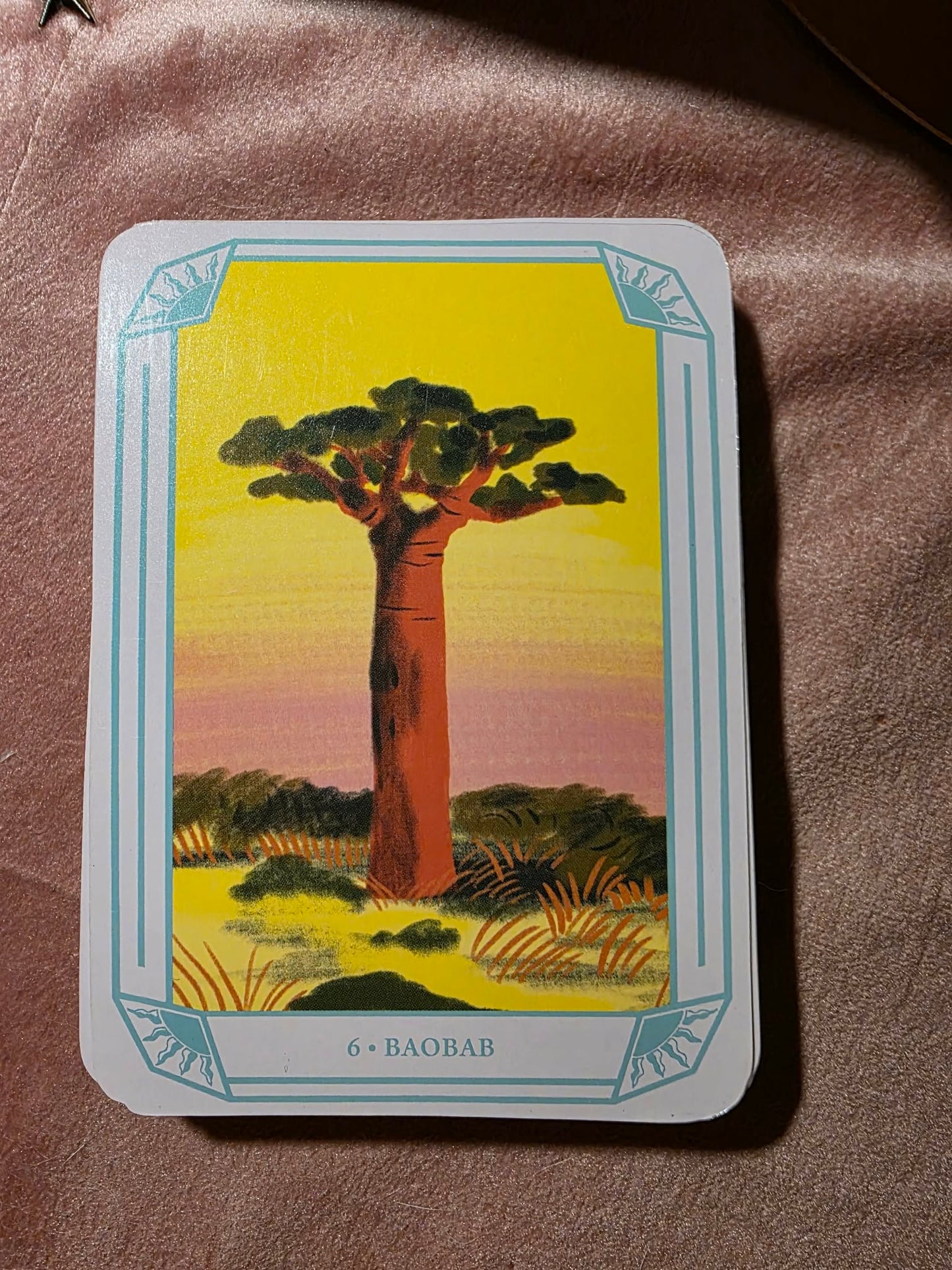 Esprits de la Nature – Mon Oracle Magique ✨
