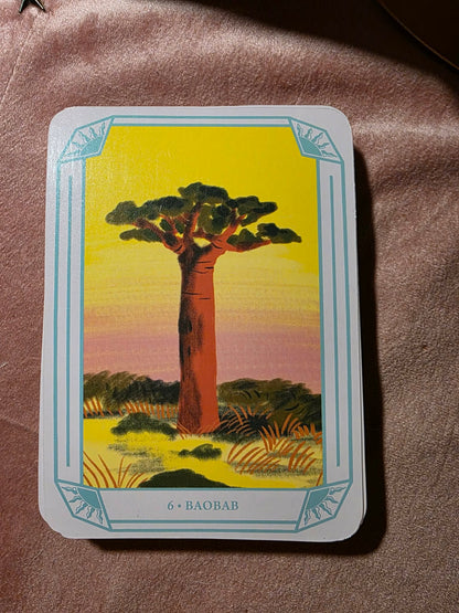 Esprits de la Nature – Mon Oracle Magique ✨