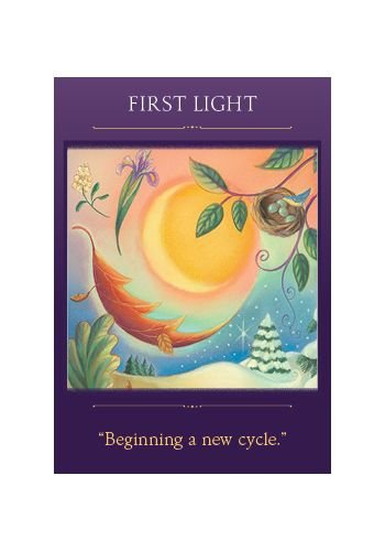Sacred Traveler Oracle Cards — coffret avant par Denise Linn