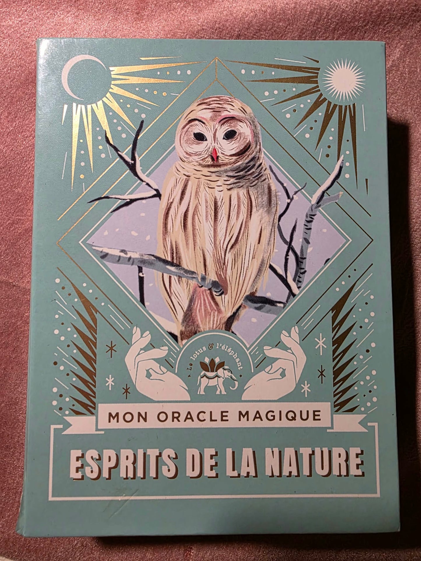 Couverture Esprits de la Nature – Mon Oracle Magique, chouette sur fond turquoise