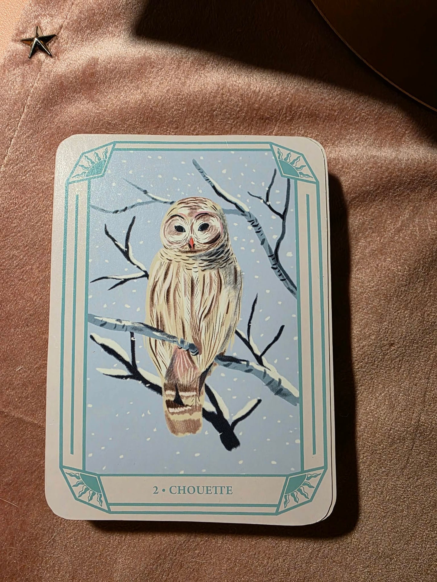 Esprits de la Nature – Mon Oracle Magique ✨