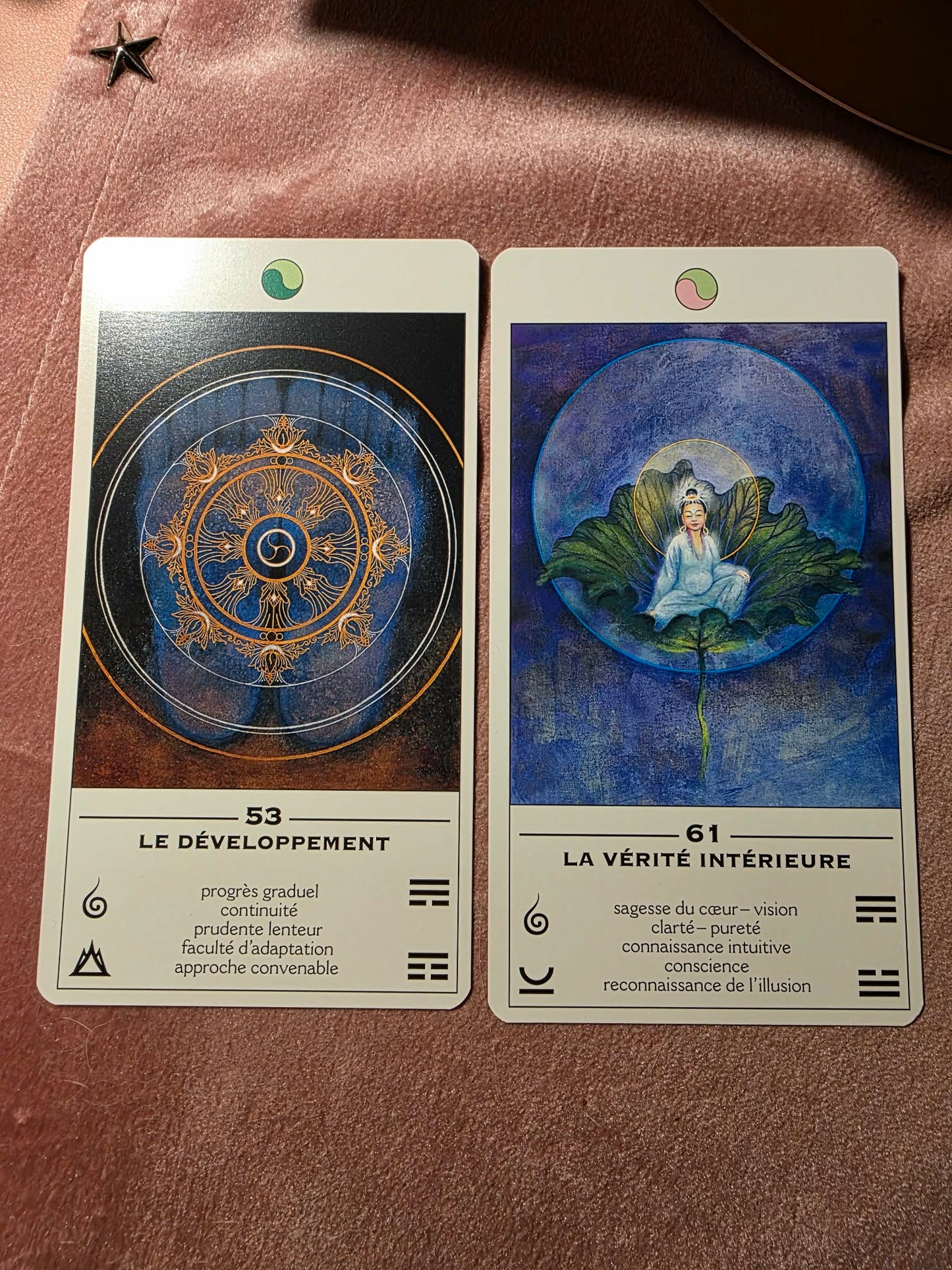 Oracle TAO ✨
