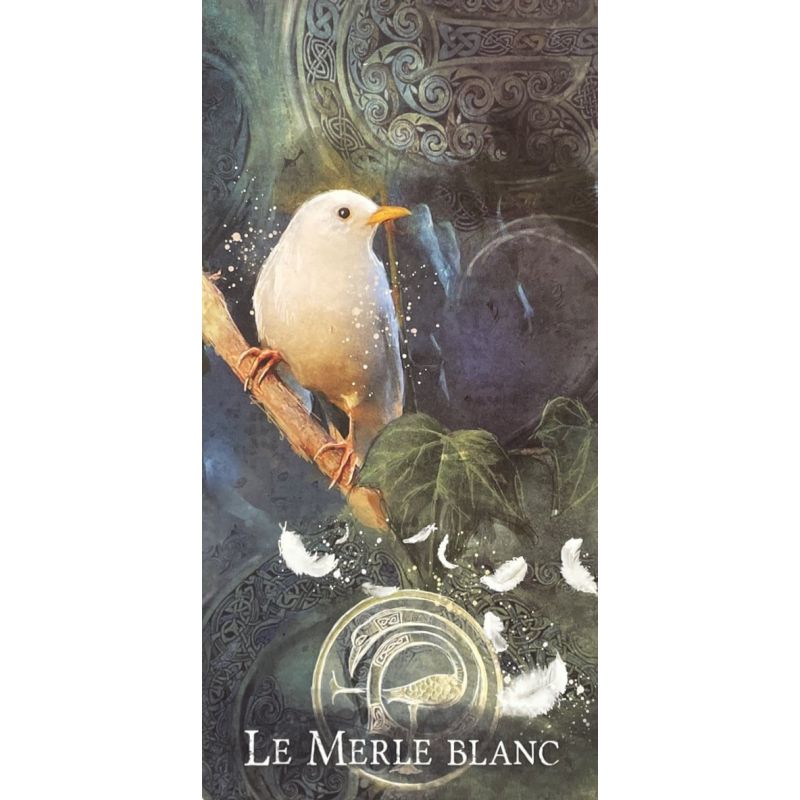 Oracle de Merlin — carte Le Merle blanc