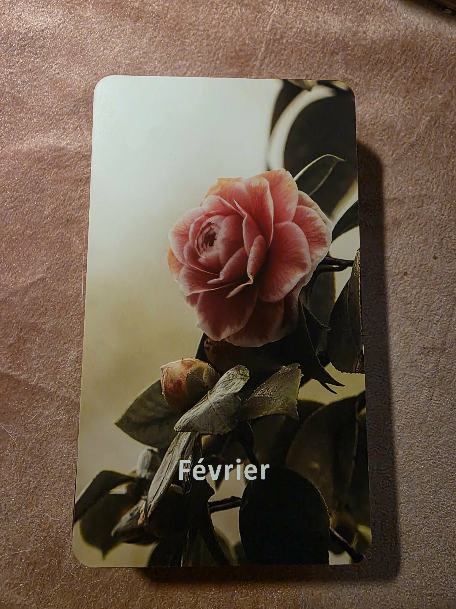 Cartes du Temps — carte Février avec rose rose