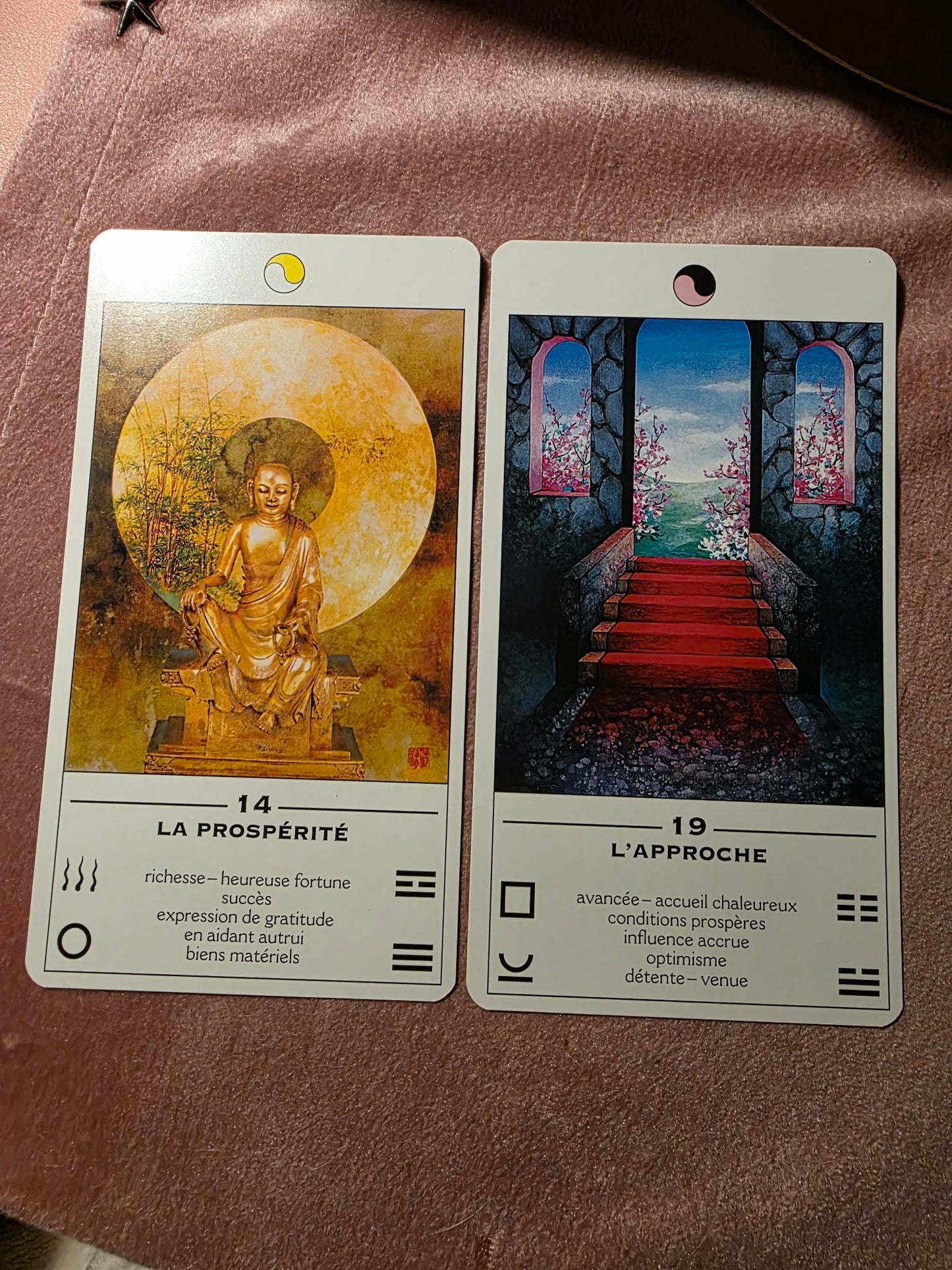 Oracle TAO ✨