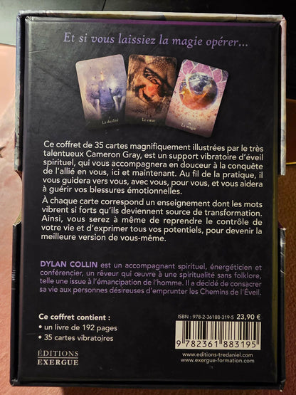 Les Chemins de l'Éveil — dos de la boîte avec description