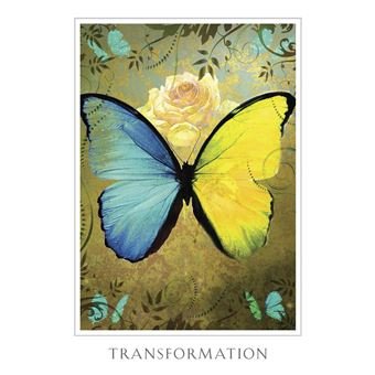 Destin Sacré — 52 Cartes Oracle | Denise Linn | Coffret Rigide